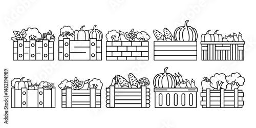 Vegetables on Basket Line