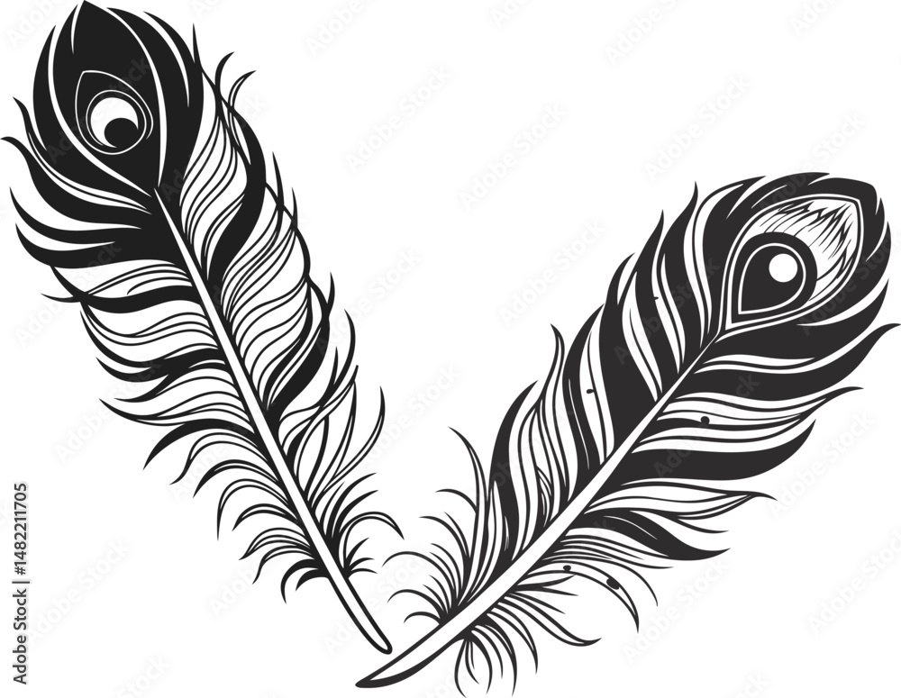 Obraz premium peahen feather vector illustration