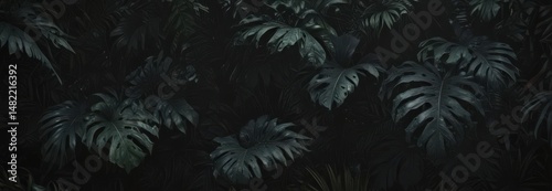 Intricate dark tropical leaves, vines, shadows on black  Lush, mysterious jungle foliage , vine, plant, entwined