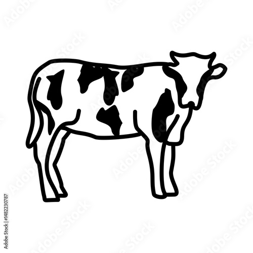 black and white cow