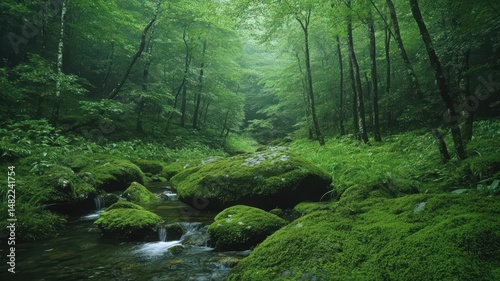 A Lush Summer Rainforest With Cascading Waterfalls and Vibrant Greenery in Nature