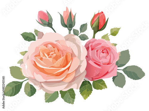 The Meaning and Symbolism of Pink and Red Roses