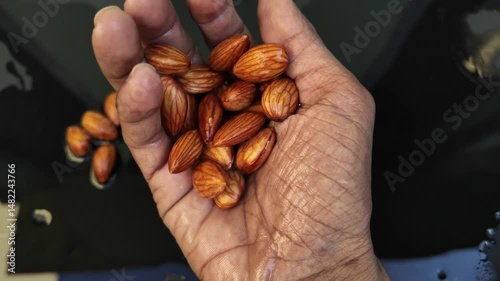 handful of almonds on black background in hands , slow motion , cinematic shot , healthy nuts concepts
