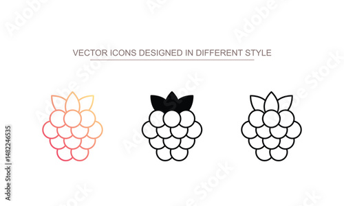 Raspberry icon design with white background stock illustration