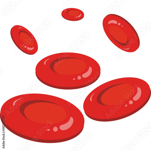 Red Blood Cells 