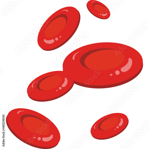 Red Blood Cells 