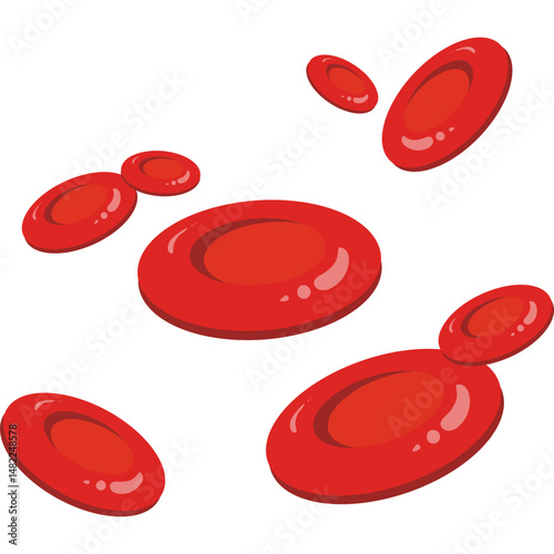 Red Blood Cells 