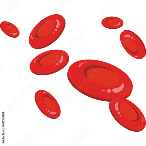 Red Blood Cells 