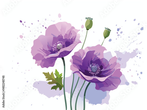Purple Poppies Watercolor Floral Illustration Delicate Flower Design
