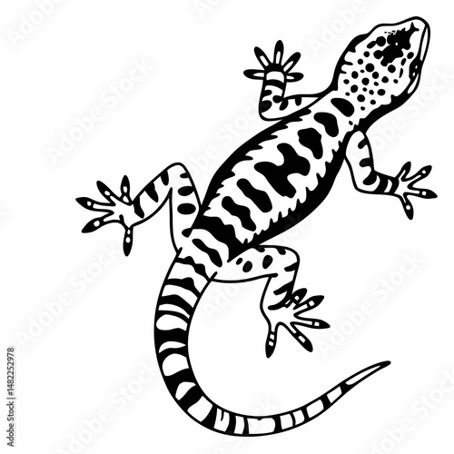 Newt with spotted skin and curved tail