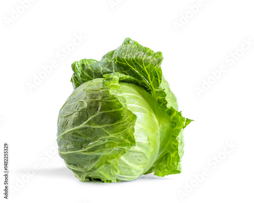 Fresh green cabbage on white background
