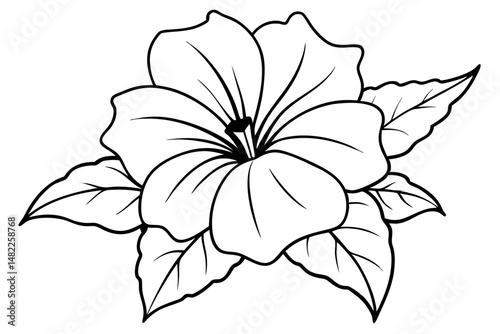 petunia silhouette line art vector illustration with a white background