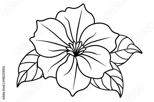 petunia silhouette line art vector illustration with a white background