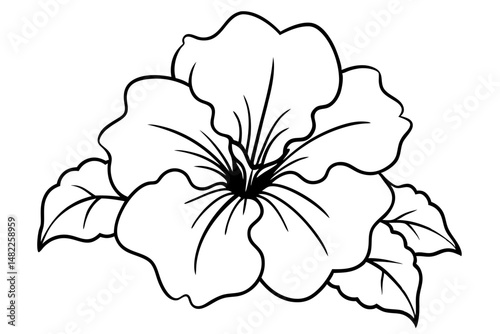 petunia silhouette line art vector illustration with a white background
