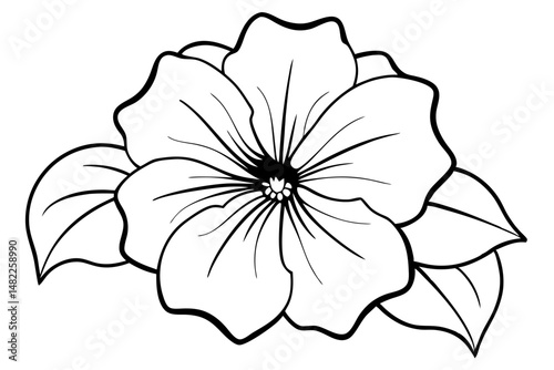 petunia silhouette line art vector illustration with a white background