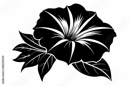 petunia silhouette line art vector illustration with a white background