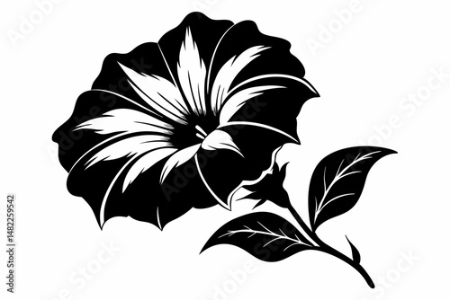 petunia silhouette line art vector illustration with a white background