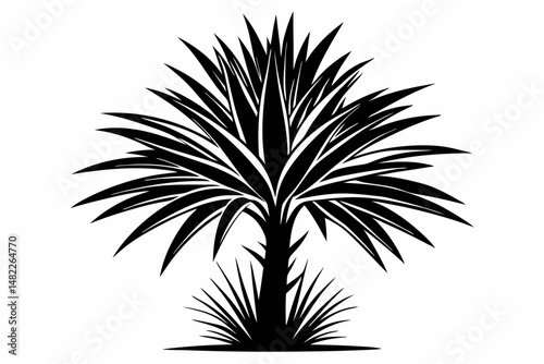 yucca silhouette line art vector illustration with a white background