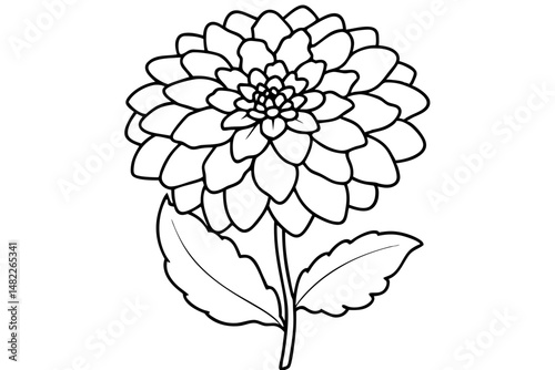 zinnia silhouette line art vector illustration with a white background