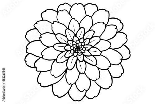 zinnia silhouette line art vector illustration with a white background