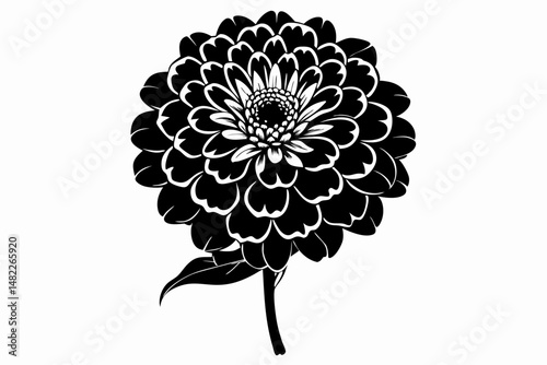 zinnia silhouette line art vector illustration with a white background