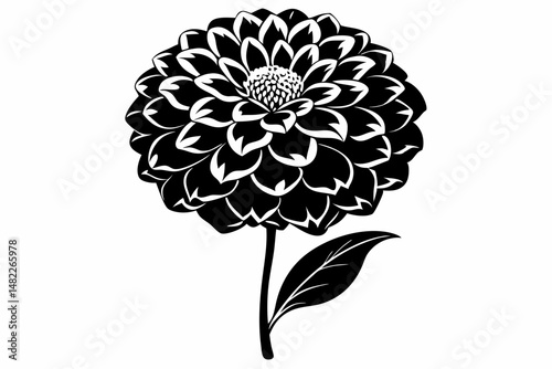 zinnia silhouette line art vector illustration with a white background