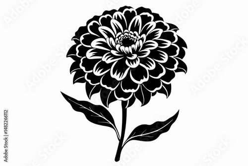 zinnia silhouette line art vector illustration with a white background