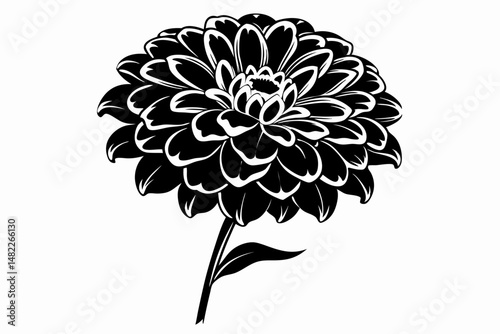 zinnia silhouette line art vector illustration with a white background