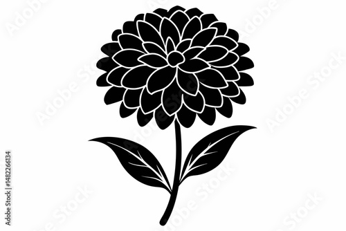 zinnia silhouette line art vector illustration with a white background