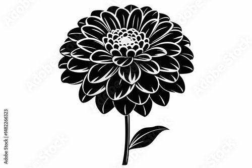 zinnia silhouette line art vector illustration with a white background