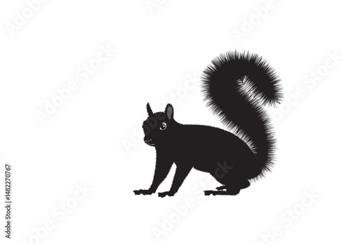 squirrel