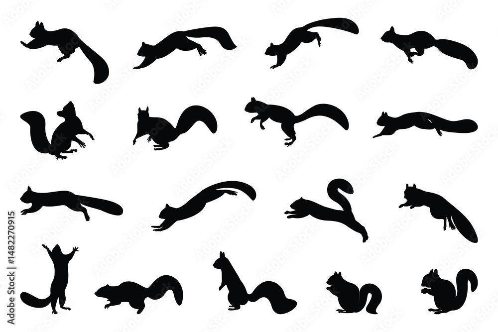 Obraz premium squirrel-2