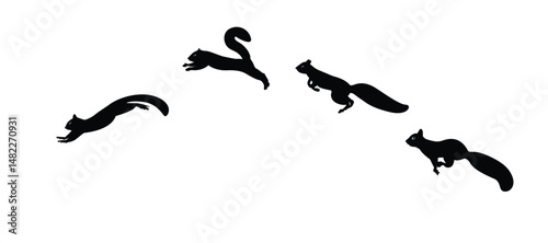 squirrel-2