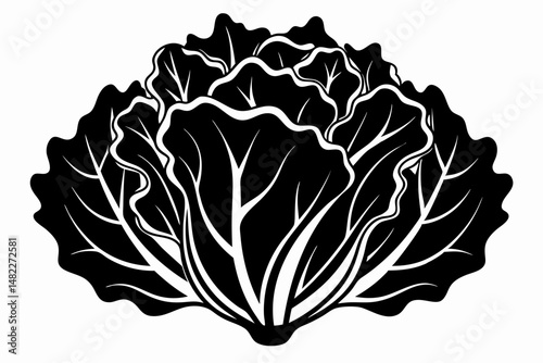 lettuce silhouette line art vector illustration with a white background