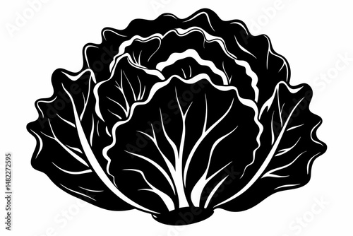 lettuce silhouette line art vector illustration with a white background