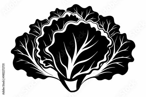 lettuce silhouette line art vector illustration with a white background