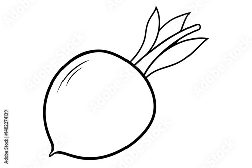 radish silhouette line art vector illustration with a white background
