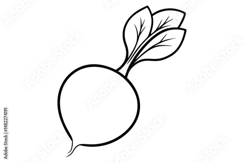 radish silhouette line art vector illustration with a white background