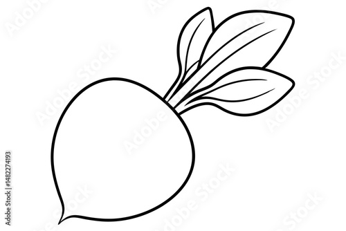radish silhouette line art vector illustration with a white background