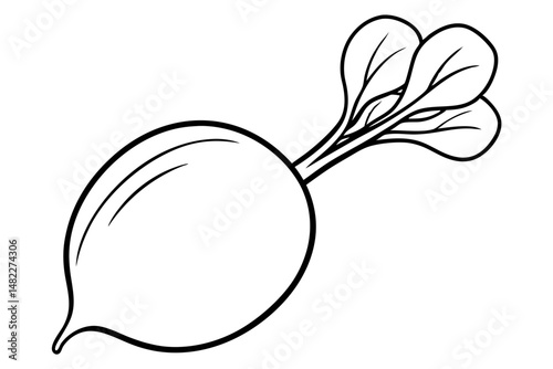 radish silhouette line art vector illustration with a white background