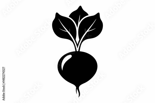 radish silhouette line art vector illustration with a white background