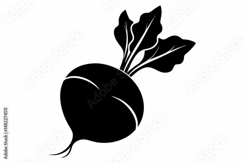 radish silhouette line art vector illustration with a white background