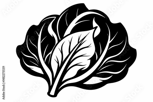 spinach silhouette line art vector illustration with a white background