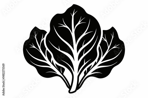 spinach silhouette line art vector illustration with a white background