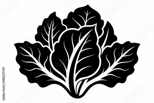 spinach silhouette line art vector illustration with a white background