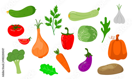 A set of fresh bright vegetables.Seasonal harvest.Vector illustration
