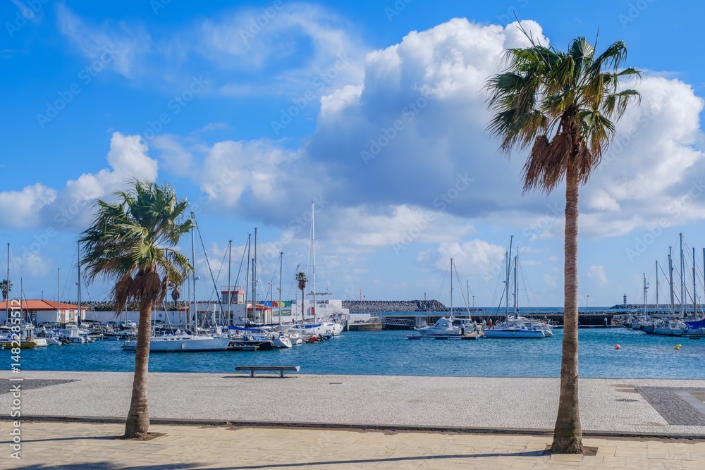 Obraz premium Marina with Palm Trees, Terceira, Azores. Scenic view of the harbor filled with sailboats and yachts, framed by two tall palm trees in the foreground, with a clear blue sky and fluffy white clouds