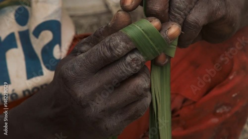 Extreme close-up of African man's hands weaving palm leaf to create funnel for harvesting palm wine in Casamance bush, Cap Skirring — earthy fingers and traditional gesture in natural surroundings