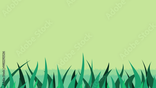 Flat Green Grass Field Background with Copy Space for Nature or Spring Design