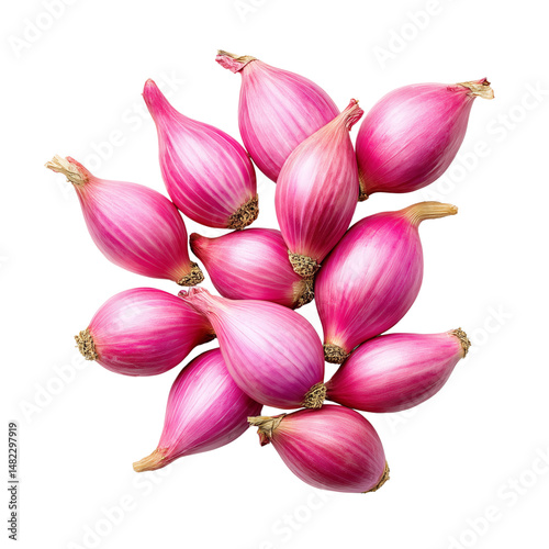 Obraz na płótnie Shallots isolated on white w salonie